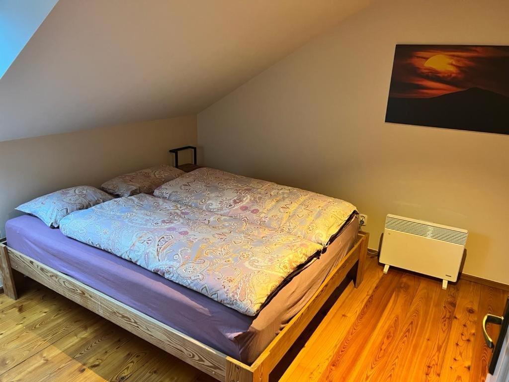 Duzy Apartament Duszniki-Zdroj Duszniki Zdrój Buitenkant foto